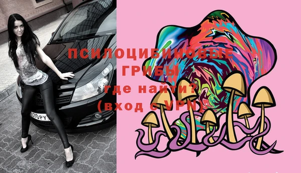 крисы Алзамай