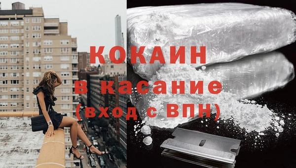 крисы Алзамай