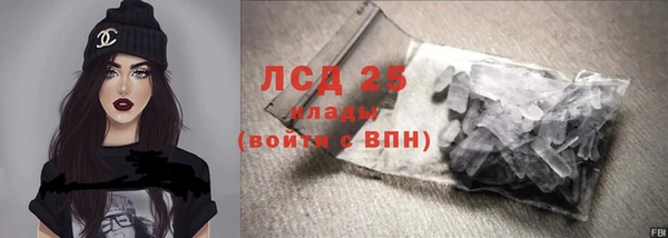 крисы Алзамай