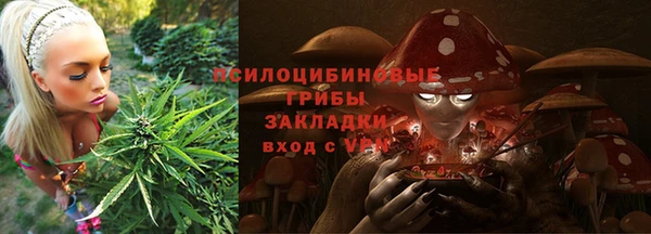 крисы Алзамай