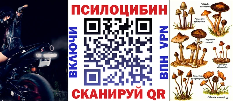 Псилоцибиновые грибы прущие грибы  где найти наркотики  Сосновоборск 